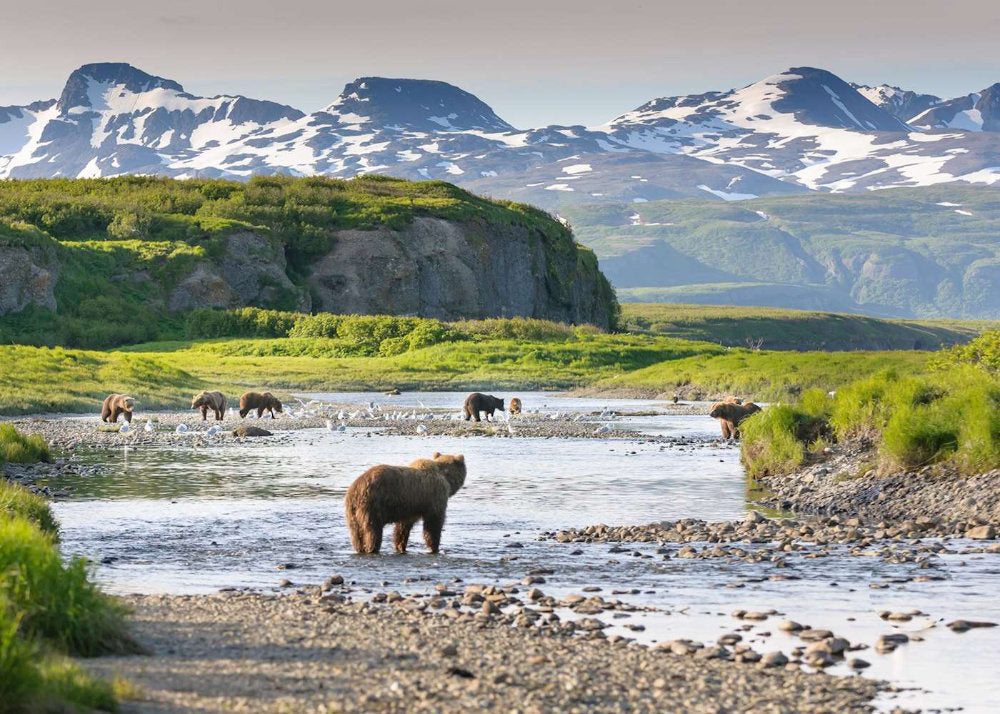 5 Must-See National Parks in Alaska